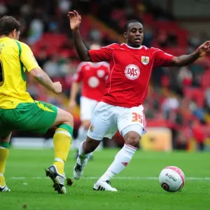 Bristol City vs Norwich City Print