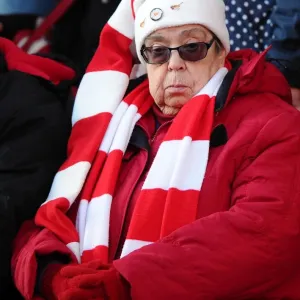 Intense Rivalry: Bristol City vs Crawley Town at Ashton Gate, December 13, 2014 - Sky Bet League One Clash