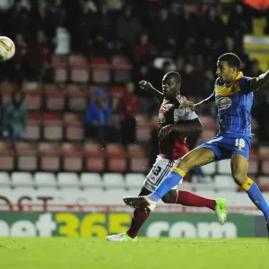 Bristol City vs Shrewsbury Town Print Bristol City vs Shrewsbury Town Print