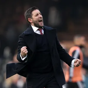 Johnson's Jubilation: Bristol City's Victory Over Fulham, March 2016
