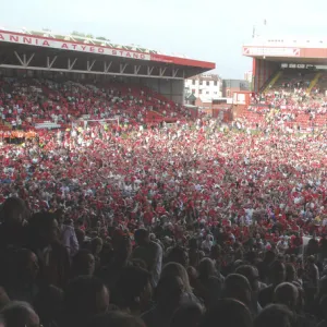 Jubilant Bristol City Fans Celebrate Promotion on the Pitch