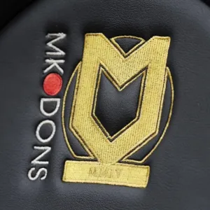 MK Dons V Bristol City