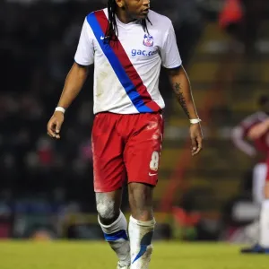 Neil Danns in Action: Championship Showdown between Bristol City and Crystal Palace - 28th December 2010, Ashton Gate Stadium