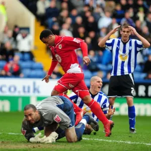 Nicky Maynard's Thrilling Goal Celebration: Sheffield Wednesday vs. Bristol City (16-03-10, Championship) Nicky Maynard's Thrilling Goal Celebration: Sheffield Wednesday vs. Bristol City (16-03-10, Championship)