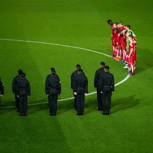 Remembrance Day Tribute: Minutes Silence at Ashton Gate Stadium - Bristol City vs Brighton & Hove Albion, Sky Bet Championship (November 2016)