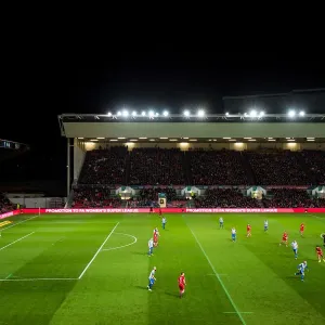 Remembrance Day Tribute: A Minute's Silence at Bristol City vs Brighton & Hove Albion (November 5, 2016)