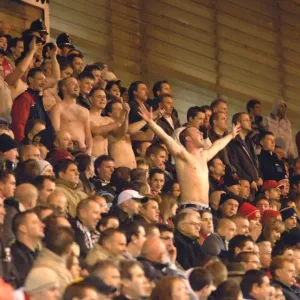 A Sea of Passion: United Bristol City Football Club Fans