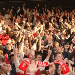 A Sea of Passion: United Bristol City Football Club Fans