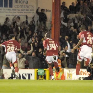 A Sea of Passion: United Bristol City Football Club Fans