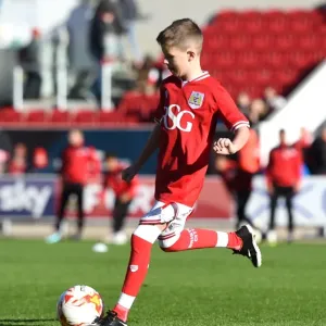 Sky Bet Championship Clash: Bristol City vs Hull City at Ashton Gate Stadium (November 2015) Sky Bet Championship Clash: Bristol City vs Hull City at Ashton Gate Stadium (November 2015)