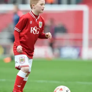 Print of Bristol City vs Middlesbrough Mascot at Ashton Gate Stadium Print of Bristol City vs Middlesbrough Mascot at Ashton Gate Stadium