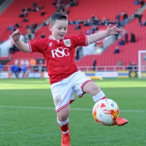 Sky Bet Championship Showdown: Bristol City vs Birmingham City at Ashton Gate Stadium (January 2016)