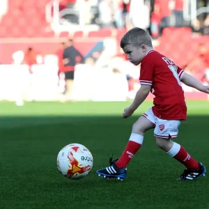 Sky Bet Championship Showdown: Bristol City vs Fulham at Ashton Gate Stadium (October 2015)