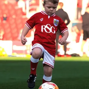 Sky Bet Championship Showdown: Bristol City vs Fulham at Ashton Gate Stadium (October 2015)