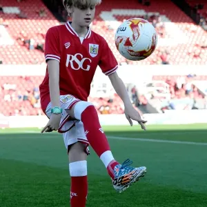 Sky Bet Championship Showdown: Bristol City vs Fulham at Ashton Gate Stadium (October 2015)