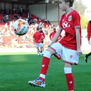 Sky Bet Championship Showdown: Bristol City vs Fulham at Ashton Gate Stadium (October 31, 2015)