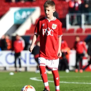 Sky Bet Championship Showdown: Bristol City vs Hull City at Ashton Gate Stadium (November 2015) Sky Bet Championship Showdown: Bristol City vs Hull City at Ashton Gate Stadium (November 2015)