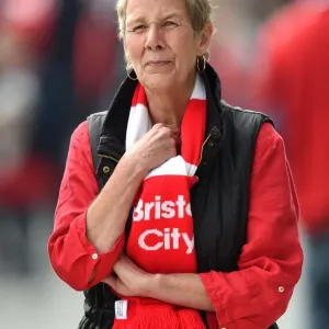 Sky Bet Championship Showdown: Bristol City vs MK Dons at Ashton Gate Stadium (October 2015) Sky Bet Championship Showdown: Bristol City vs MK Dons at Ashton Gate Stadium (October 2015)
