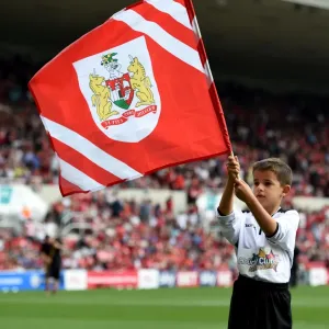 Sky Bet Championship Showdown: Bristol City vs Reading at Ashton Gate Stadium (September 19, 2015)