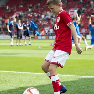 Sky Bet Championship Showdown: Bristol City vs Reading at Ashton Gate Stadium (September 19, 2015)