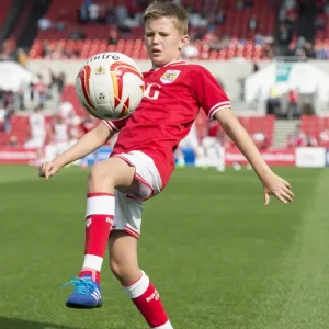 Sky Bet Championship Showdown: Bristol City vs Reading at Ashton Gate Stadium (September 19, 2015)