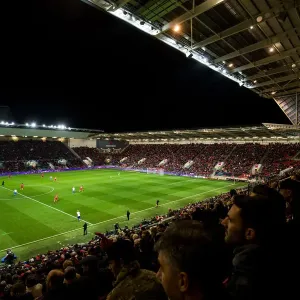 Sky Bet Championship Showdown: Intense Action at Ashton Gate - Bristol City vs Brighton & Hove Albion