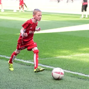 Sky Bet Championship Showdown: Mandatory Mascot Clash - Bristol City vs. Wolverhampton Wanderers (April 2017) - Ashton Gate