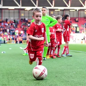 Sky Bet Championship Showdown: Mandatory Mascot Clash - Bristol City vs. Wolverhampton Wanderers (April 2017)