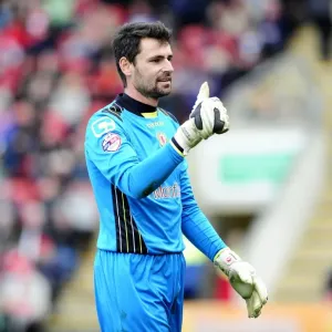 Sky Bet League One: Showdown at Alexandra Stadium - Bristol City vs Crewe Alexandria (10/21/2013)