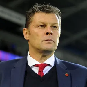 Steve Cotterill at the Helm: Bristol City vs Cardiff City, Cardiff Stadium, 2015