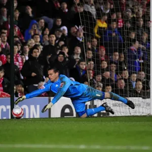 Steve Harper's Heroics: Saving Newcastle United in the 2010 Championship Battle at Ashton Gate Steve Harper's Heroics: Saving Newcastle United in the 2010 Championship Battle at Ashton Gate
