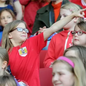 Tension at Ashton Gate: Bristol City vs. Fulham, Sky Bet Championship Match, October 2015