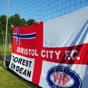 Waves of Pride: Helsingborgs IF vs. Bristol City - A Flag-Waving Rivalry