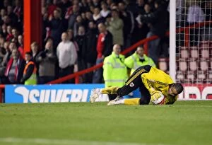 Images Dated 20th November 2010: 2010-11 Football Showdown: A Season to Remember - Bristol City vs Leicester City