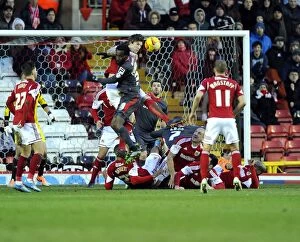 Images Dated 1st February 2014: Aden Flint Clears the Danger: Bristol City vs Carlisle United, 2014