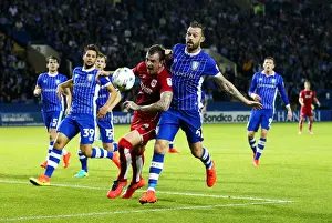 Aden Flint vs. Steven Fletcher: Clash at Hillsborough, Sheffield Wednesday vs. Bristol City, Sky Bet Championship