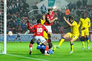 Images Dated 19th August 2015: Aden Flint's Last-Minute Stunner: Bristol City Rescues 2-2 Draw Against Leeds United