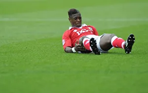 Bristol City V MK Dons Prints: Agard in Action: Bristol City vs MK Dons, Sky Bet League One Football Match, 2014
