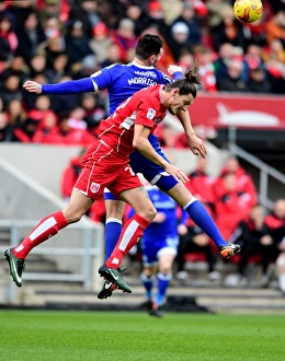 Battling for Supremacy: Milan Djuric vs