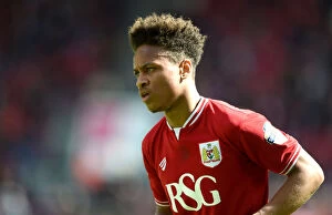 Images Dated 30th April 2016: Bobby Reid in Action: Bristol City vs. Huddersfield Town, Sky Bet Championship, 2016
