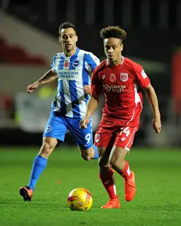 Bristol City V Brighton And Hove Albion Prints: Bobby Reid in Action: Bristol City vs Brighton & Hove Albion