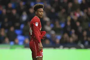 Reading V Bristol City Prints: Bobby Reid in Action: Reading vs. Bristol City Championship Clash - November 2016