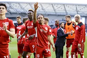 Bobby Reid's Goal Secures Bristol City's Championship Survival: 1-0 Win Over Brighton & Hove Albion