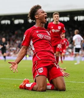 Images Dated 24th September 2016: Bobby Reid's Hat-Trick: Bristol City's Dominant 3-0 Win over Fulham in EFL Championship