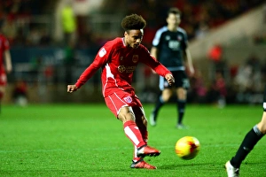 Bobby Reid's Shot: Bristol City vs. Brentford, Sky Bet Championship (13/12/2016)