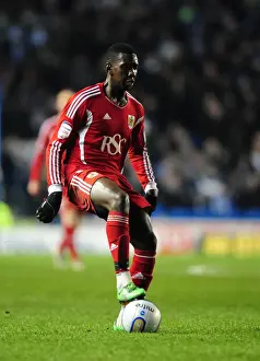 Brighton V Bristol City Prints: Brighton vs. Bristol City: Yannick Bolasie in Championship Action (14/01/2012)