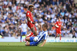 Brighton's Hunemeier Stops Abraham: Brighton & Hove Albion vs. Bristol City, Sky Bet Championship (2017)