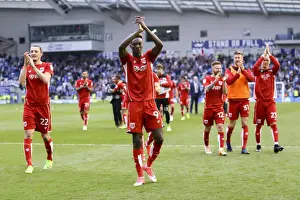 Bristol City Celebrate 1-0 Victory Over Brighton & Hove Albion: #WeAreStayingUp