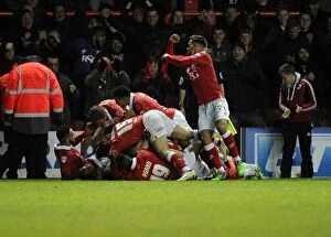 Images Dated 13th December 2014: Bristol City Celebrates Luke Aylings Goal Against Crawley Town, Sky Bet League One, Ashton Gate