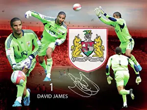 Special Edition Prints: Bristol City David James Framed Player Montage Print